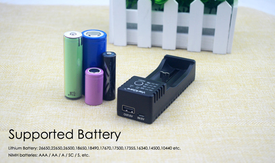 Universal V10 Battery Charger