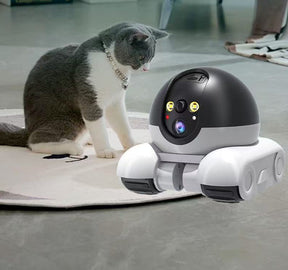 Dual-Lens Robot Smart Camera