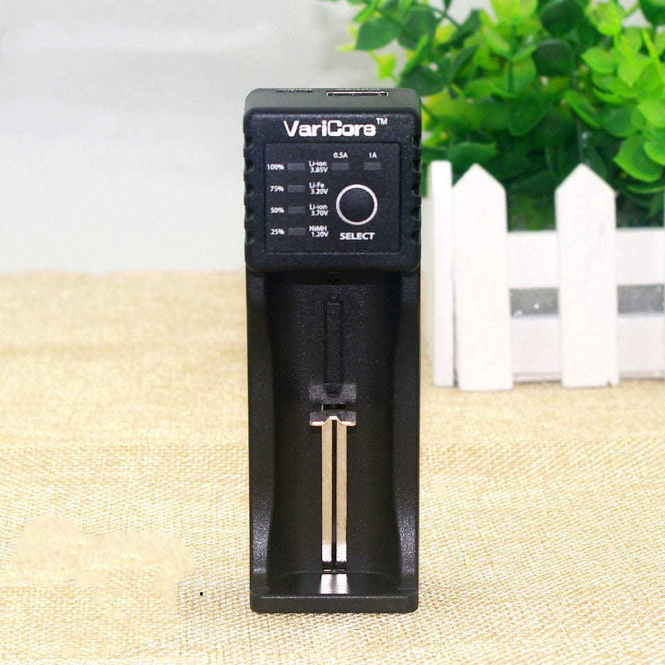 Universal V10 Battery Charger